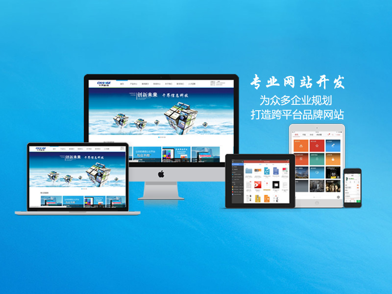 拥抱数字化：探索专业网站开发公司的价值